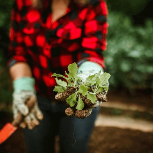 women giving a grass