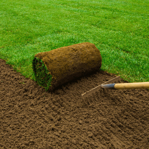 Installing new lawn with sod and rake.