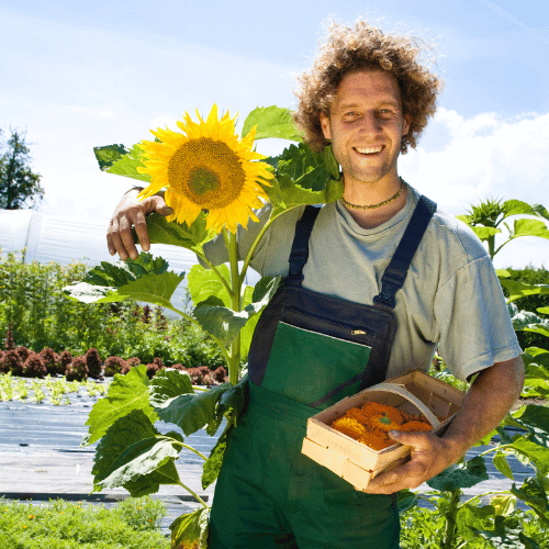 Smiling farmer with sunflower and flowers.