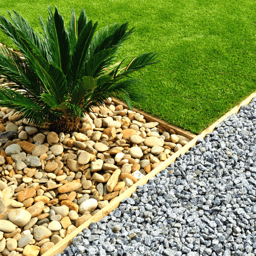 Palm plant, grass, and gravel path.