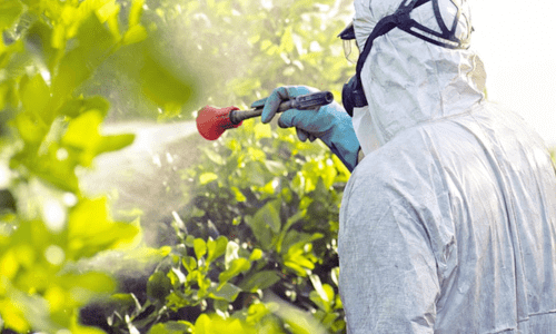 Person in hazmat suit spraying plants.