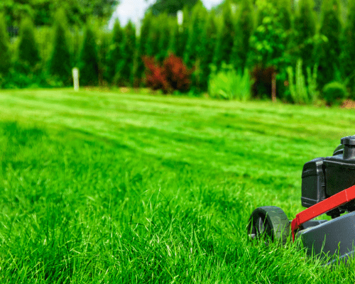 Untitled design (40)