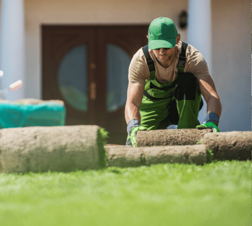 Untitled design (43)