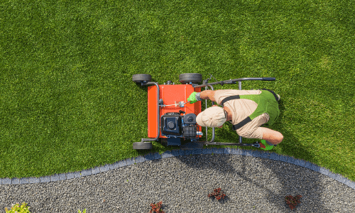 Untitled design (50)