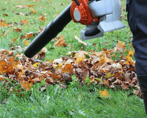 Leaf blower clearing autumn leaves.